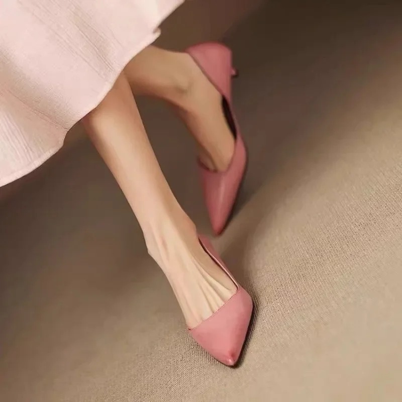Dames puntschoen stiletto hakk - Women'S Shoes And Accessories recensie en prijs