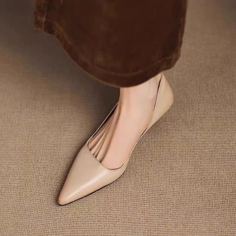 Dames puntschoen stiletto hakk - Women'S Shoes And Accessories recensie en prijs